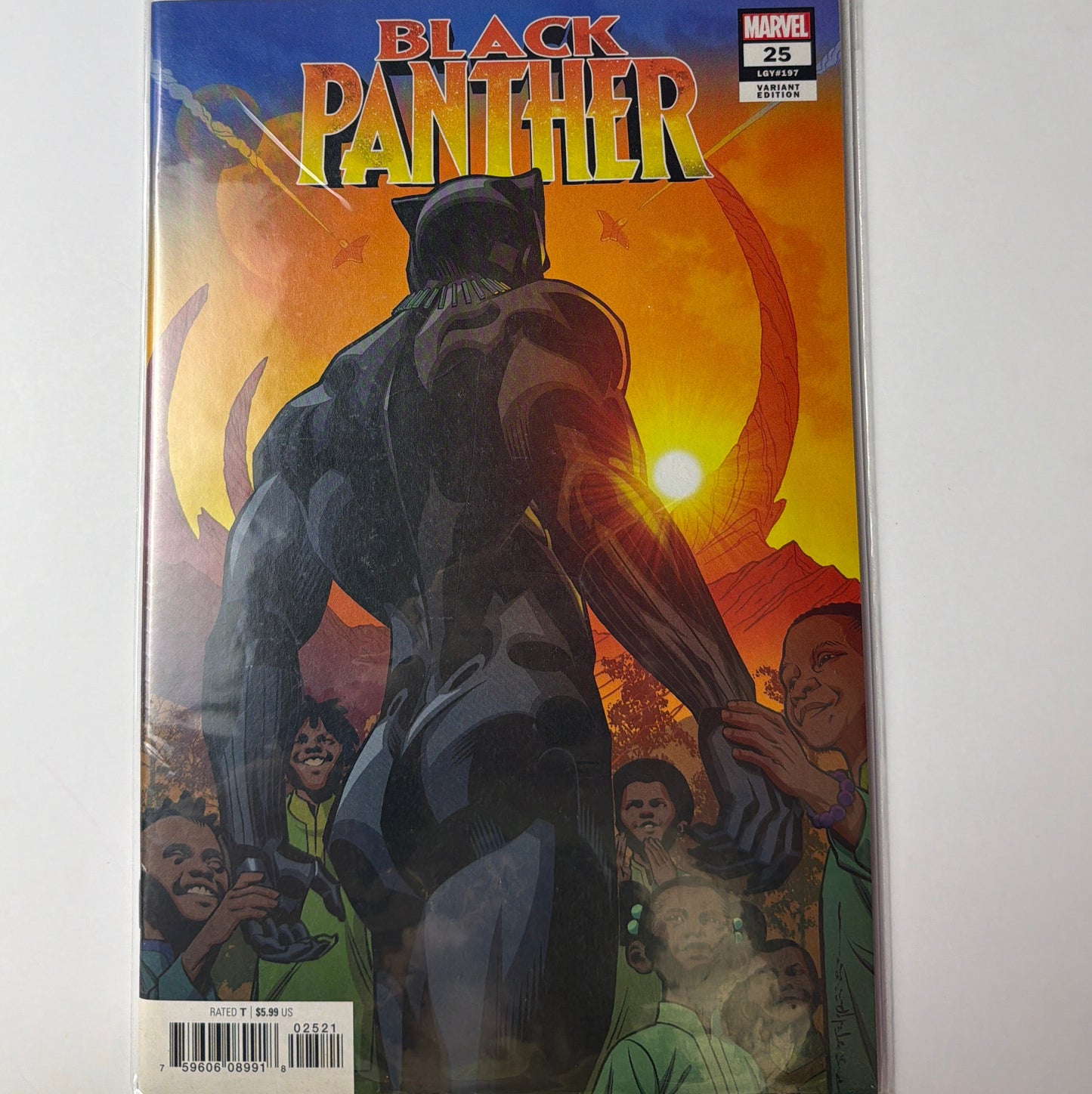 Black Panther #25