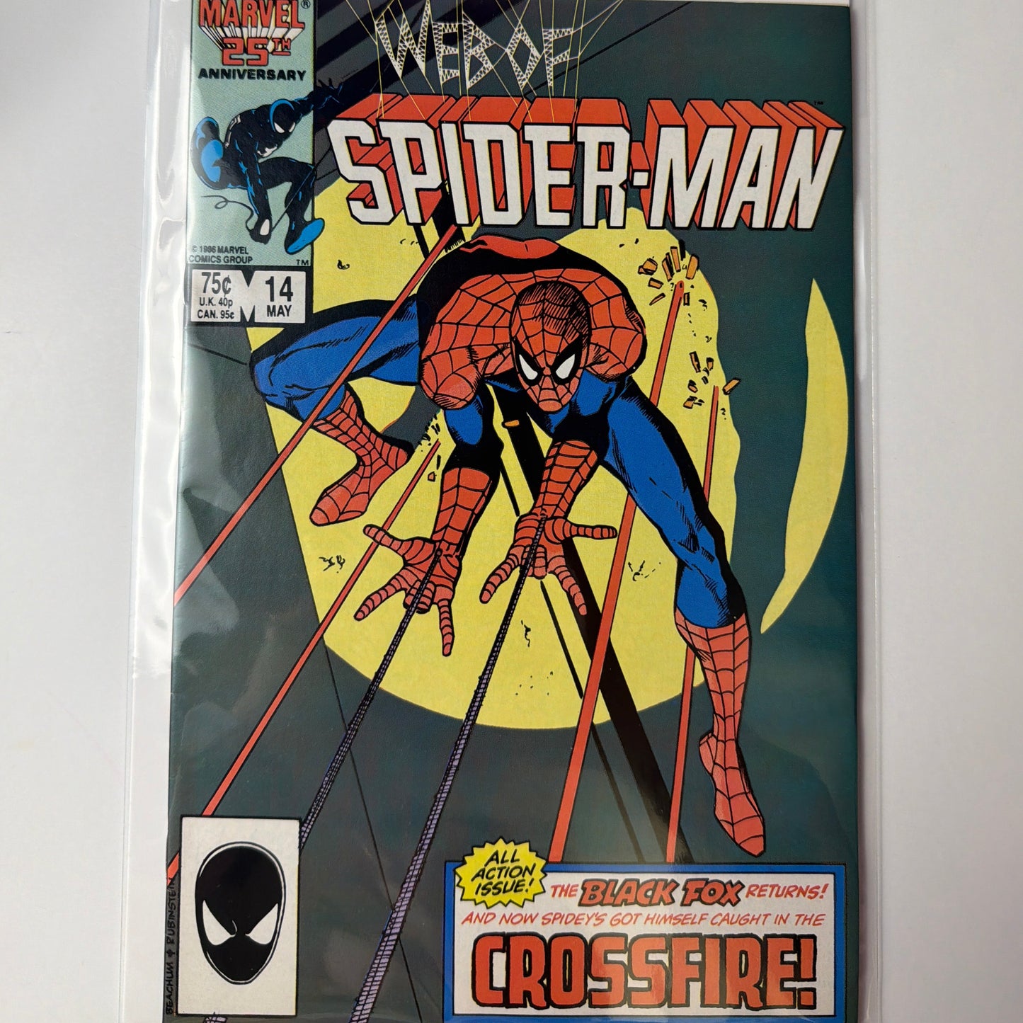 Web of Spider-Man #14