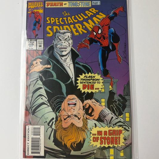 The Spectacular Spider-Man #205