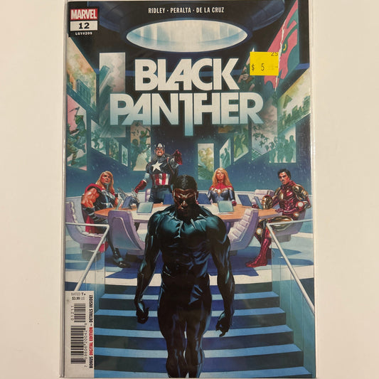 Black Panther #12