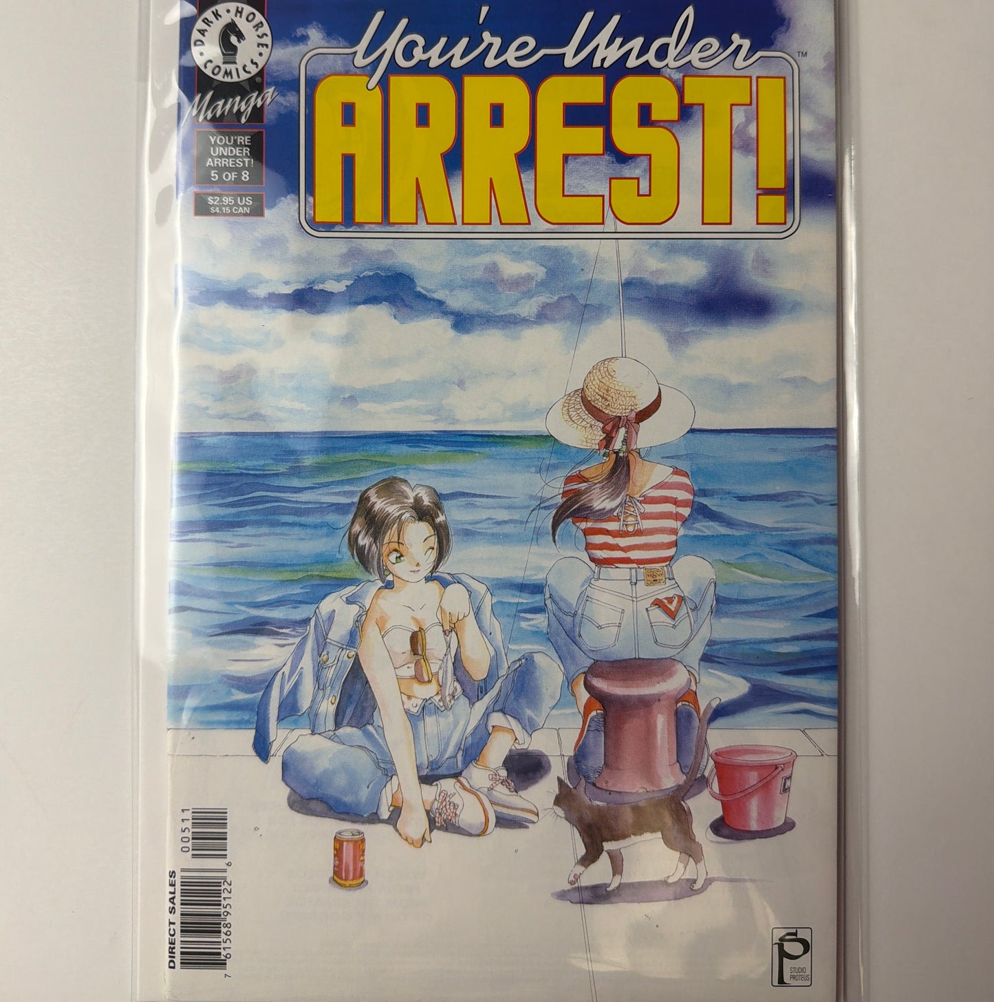 You’re Under Arrest #5