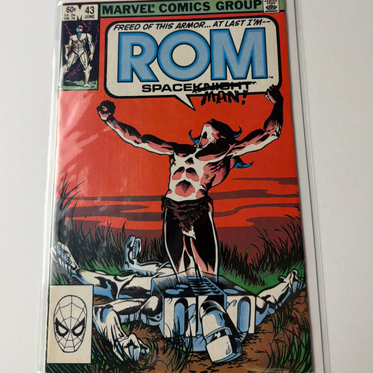Rom #43