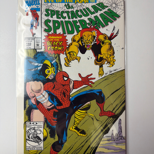 The Spectacular Spider-Man #192