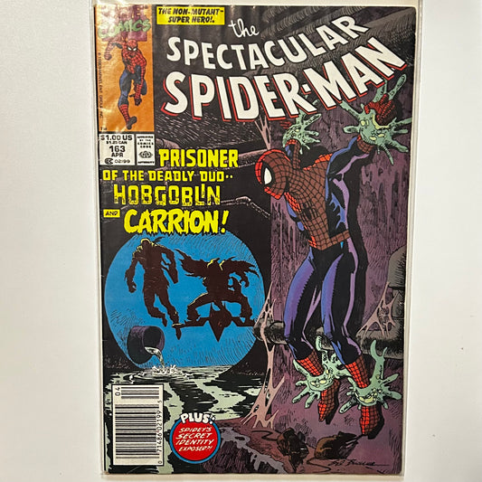 The Spectacular Spider-Man #163 Newsstand