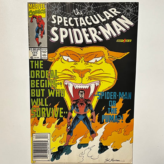 The Spectacular Spider-Man #171 Newsstand