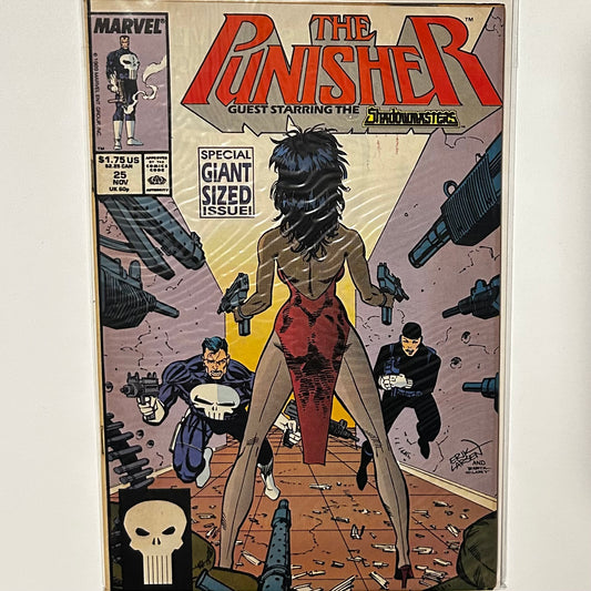 The Punisher #25