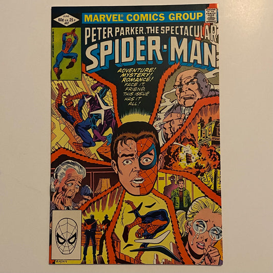 Peter Parker The Spectacular Spider-Man #67
