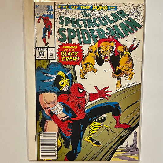 The Spectacular Spider-Man #192 Newsstand