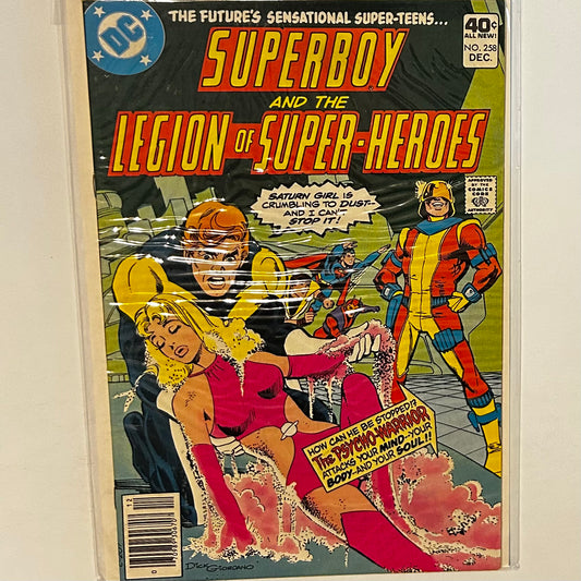 Superboy and the Legion of Superheroes #258 Newsstand