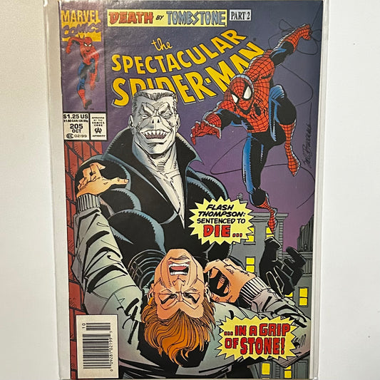 The Spectacular Spider-Man #205 Newsstand