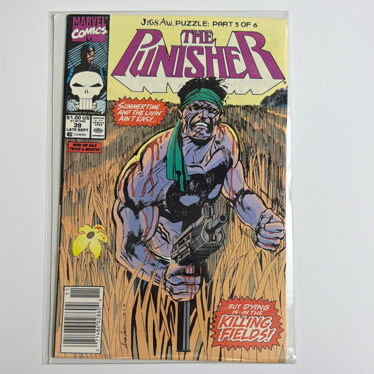 The Punisher #39