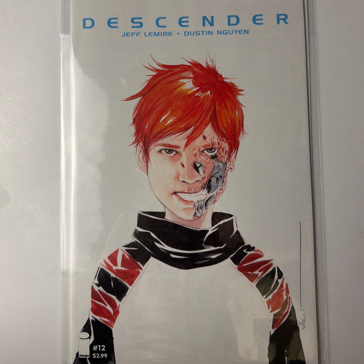Descender #12