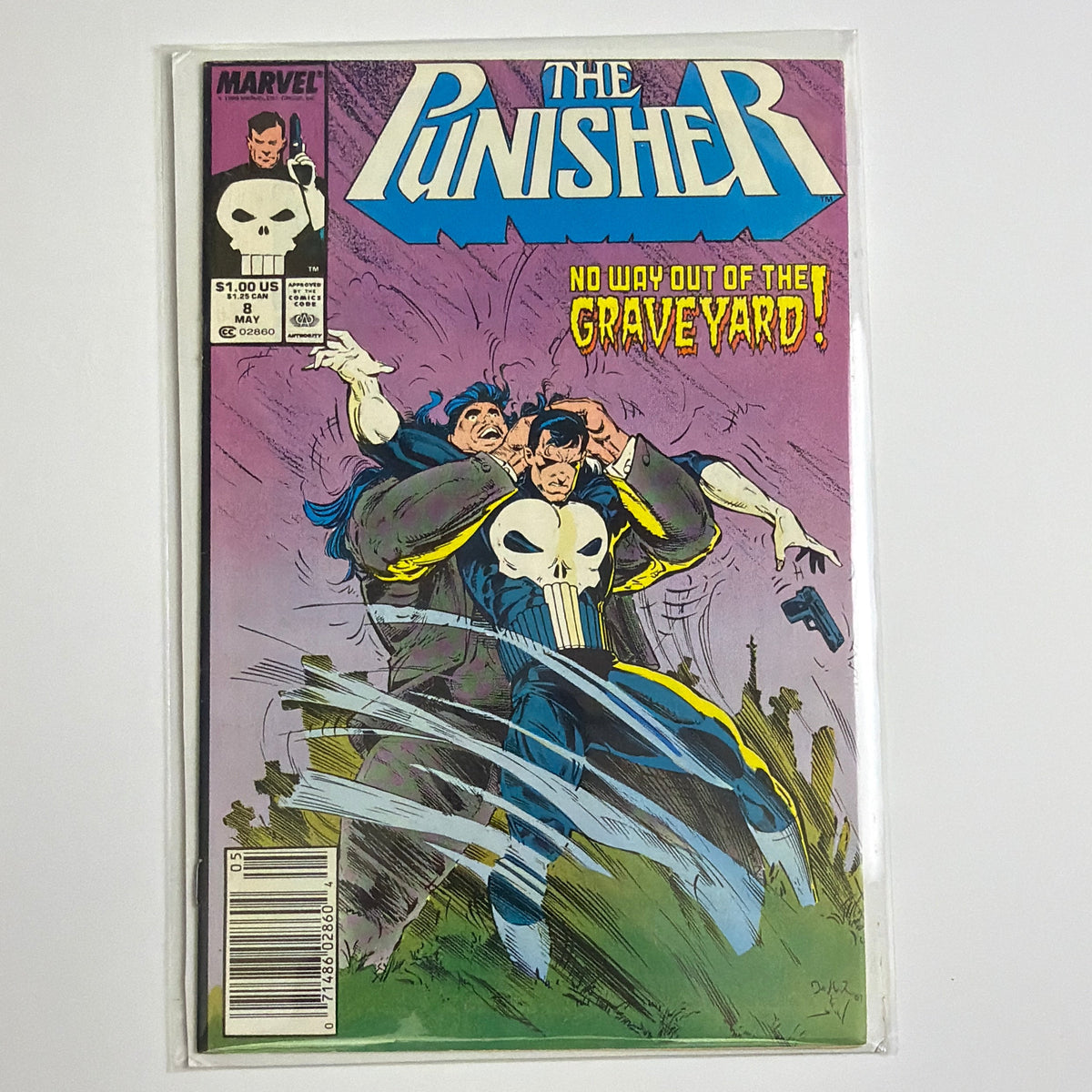 The Punisher #8