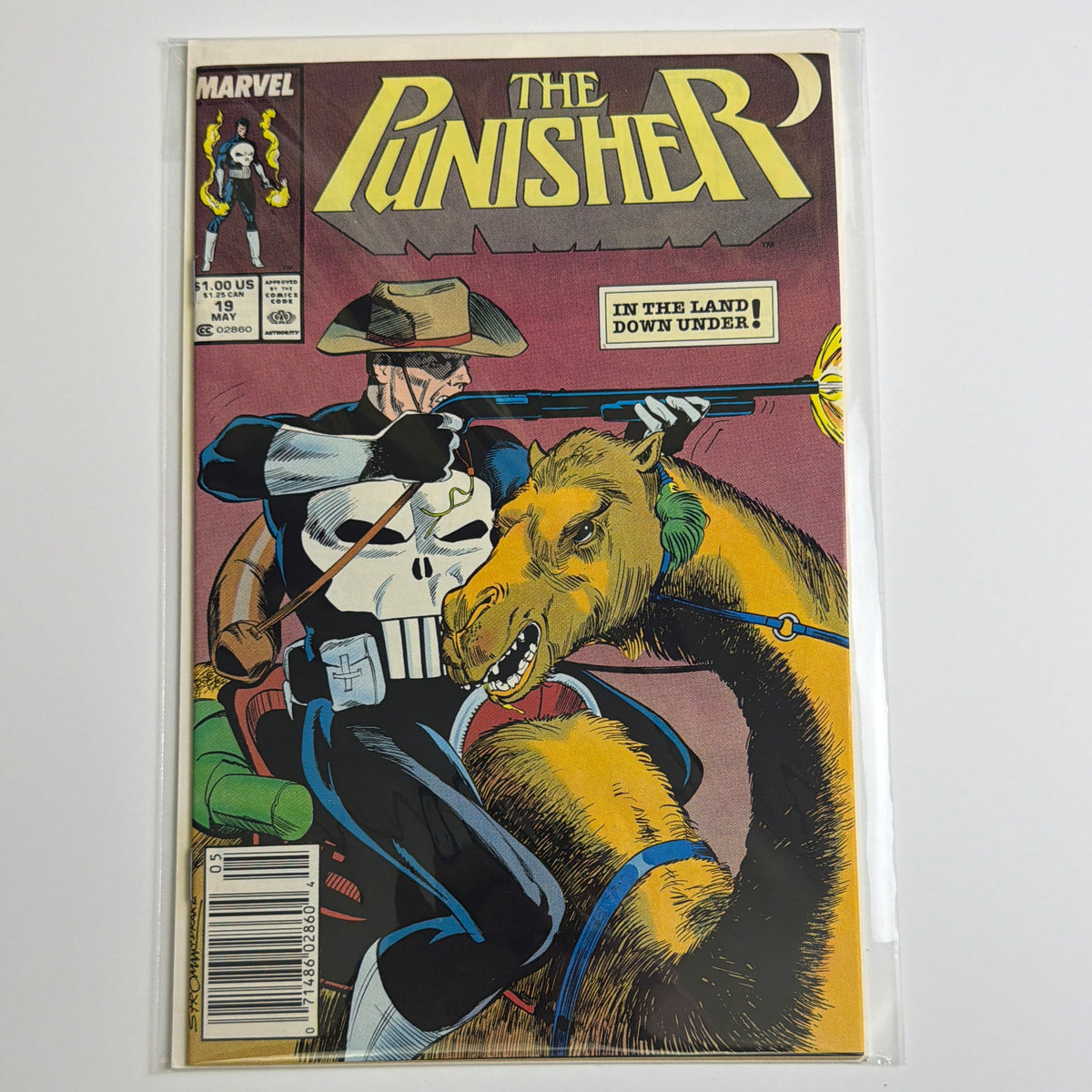 The Punisher #19