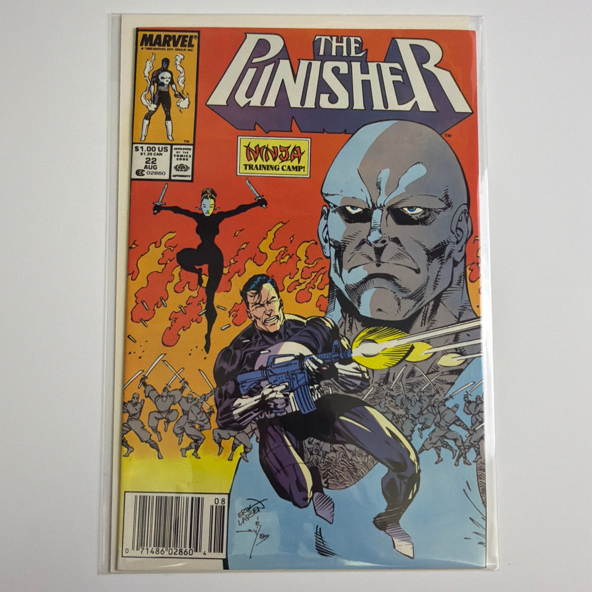 The Punisher #22