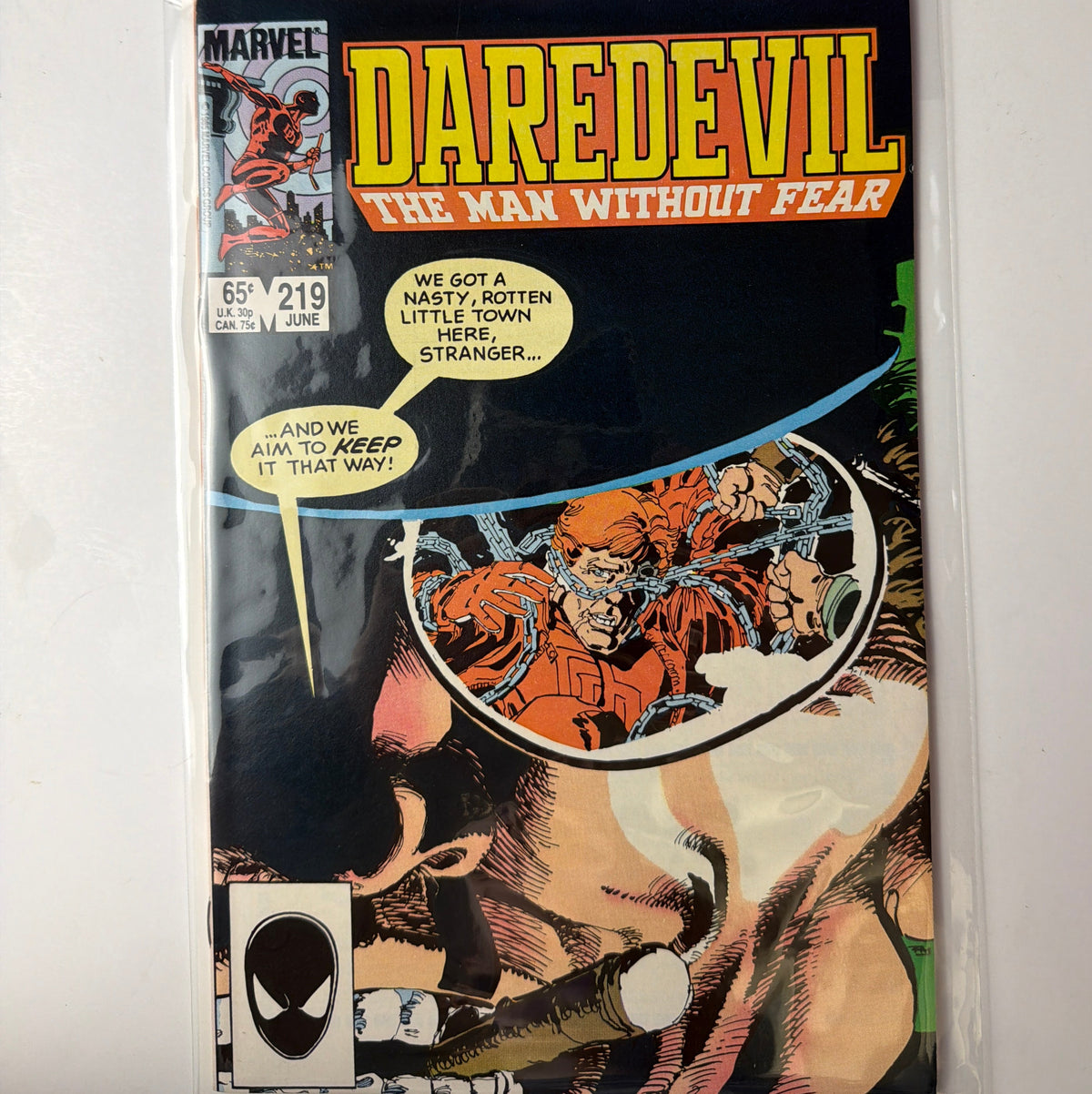 Daredevil The Man Without Fear #219