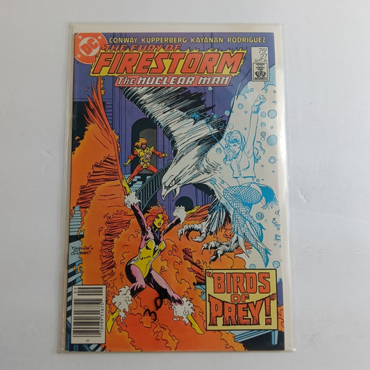Firestorm #27