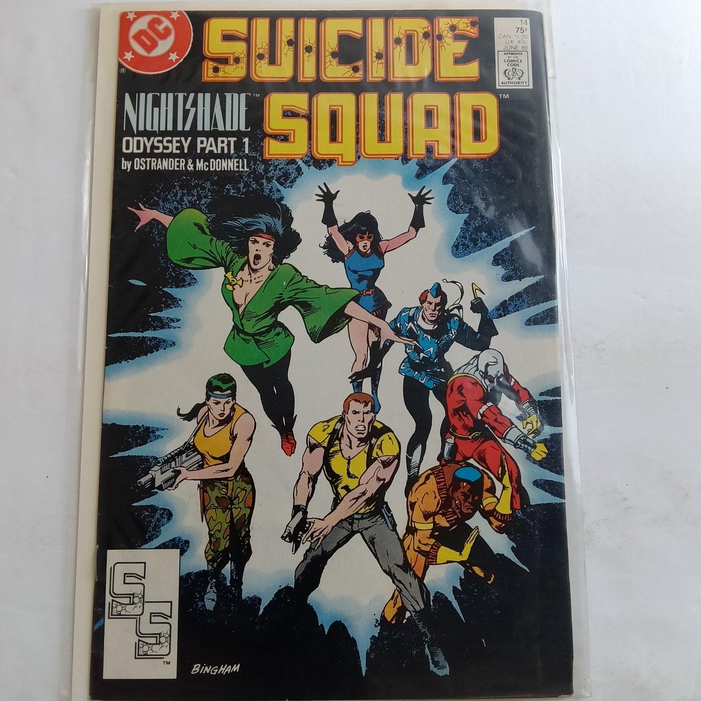 Suicide squad #14