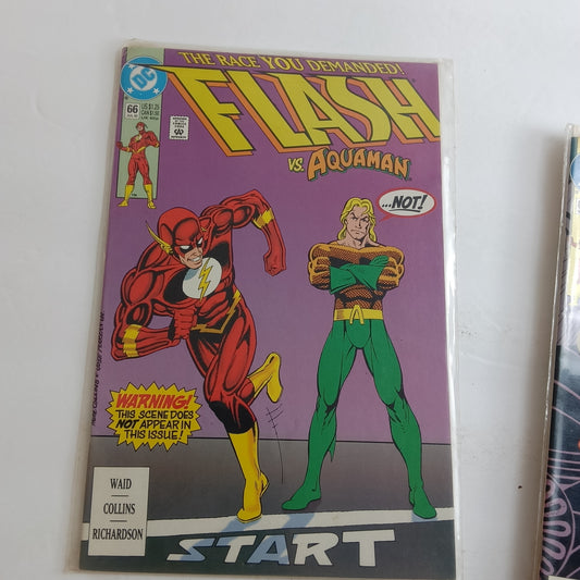 Flash #66
