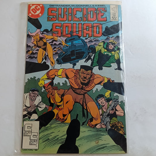 Suicide squad #24