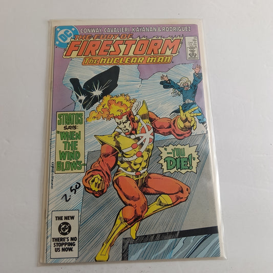 Firestorm #29