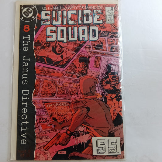 Suicide squad #29