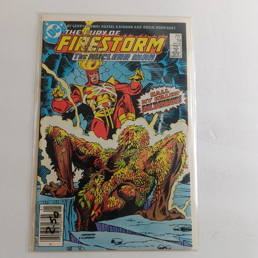 Firestorm #19